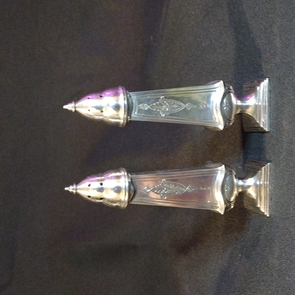 Astor by Poole Salt and Pepper Shakers